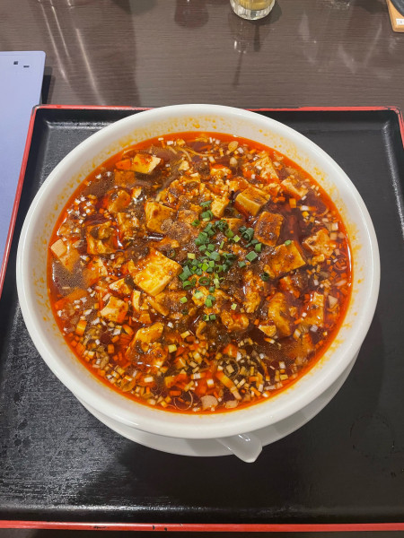 「麻婆麺(1000円)」@四川料理 松の樹の写真