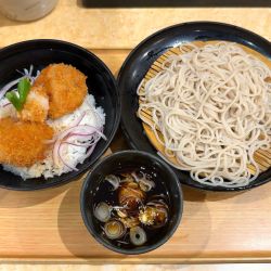 おろしヒレカツ丼セット(670円)