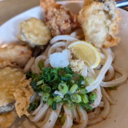 水ナスとり天ぶっかけうどん・牡蠣天増し
