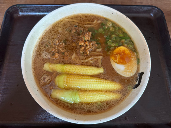 「【限定】肉みそのせ八丁味噌麺　990円」@自家製麺鍛錬場 瀧ざわの写真