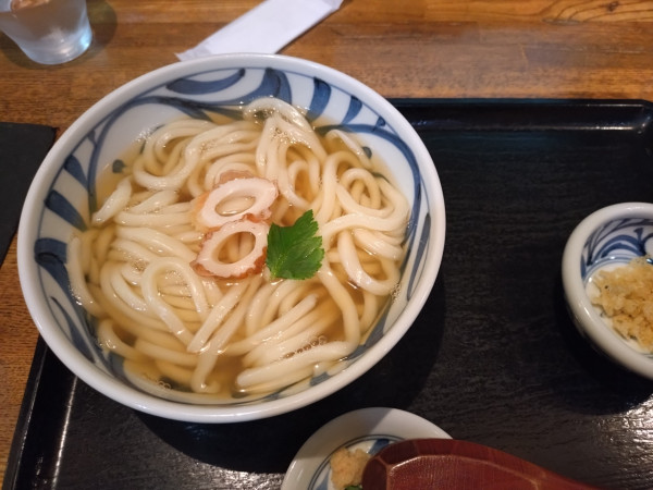 「かけうどん420円」@石川うどんの写真