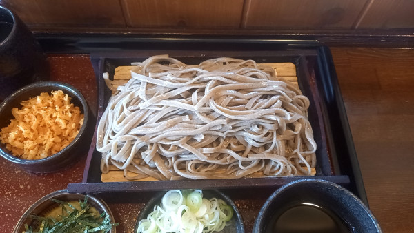 「ざるそば」@手打ちそば 昌庵の写真