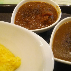 カレースタンドPLUCKの画像