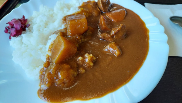 「わ鐵カレー 850円」@列車のレストラン 清流の写真