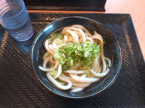 「かけうどん290円」@こがね製麺所 丸亀本店の写真