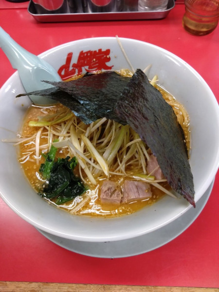 「特製味噌ネギラーメン」@ラーメン山岡家 千葉鎌ヶ谷店の写真