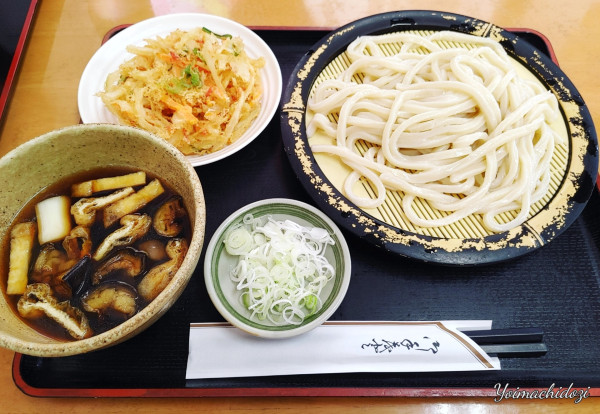 「田舎汁うどん（並：530円）、特製かき揚げ（160円）」@別館てらやの写真