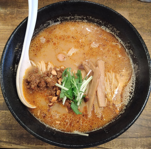 「ワンタン担々麺 1250円」@荏原町しなてつの写真