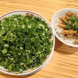 豚骨らーめん＋ネギ増し＋もつごはん