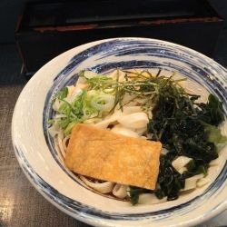 冷やしわかめきしめん