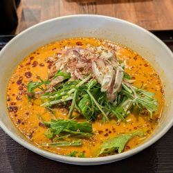 冷やし担担面（限定）