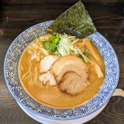 濃厚鶏白湯そば 中太麺