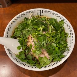 スパイス・ダブルパクチーラー麺