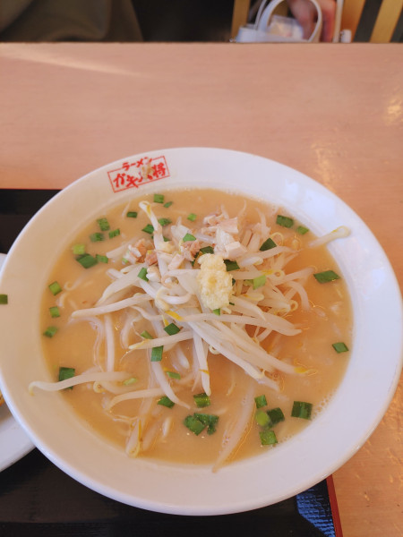 「白味噌らーめん 麺硬め ￥650円」@ガキ大将 佐原店の写真