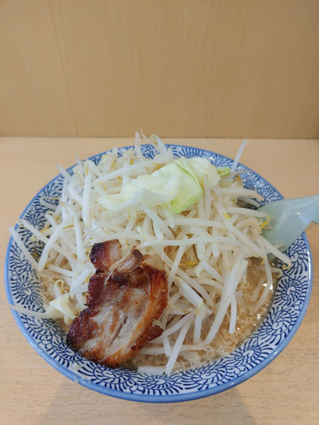 「らーめん 麺硬め ￥800円」@どてちんの写真