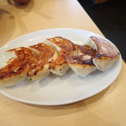 焼餃子5個（570円）