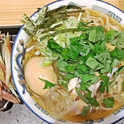 大葉冷やかけ＋茗荷＋味玉