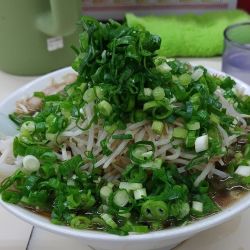 醤油らーめん　もやしトッピング