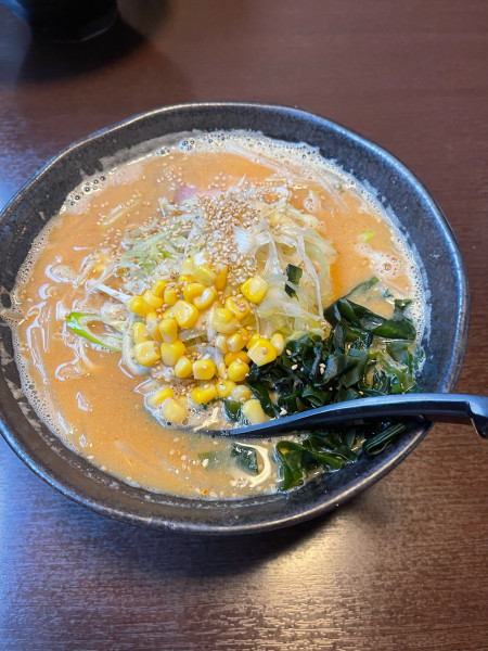 「ねぎ味噌ラーメン大盛り」@ラーメン だるまやの写真