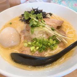 味玉鶏白湯しお