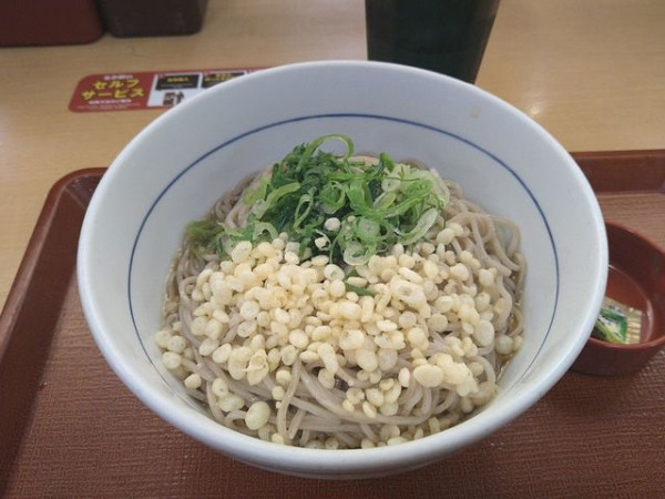 「冷やしハイカラそば」@なか卯 京都八条口店の写真