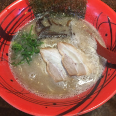 ほんな骨の画像