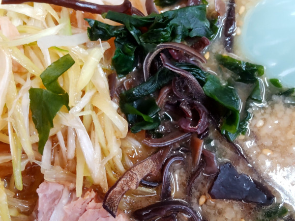 「味噌ねぎチャーシュー」@ラーメンショップ 東大室店の写真