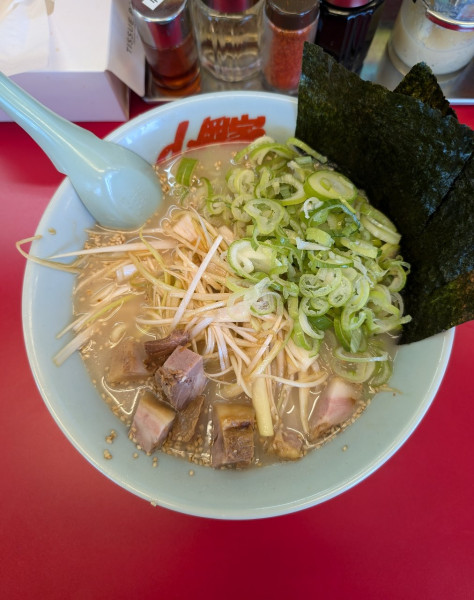 「塩ネギラーメン+薬味ネギ」@ラーメン山岡家 新結城店の写真