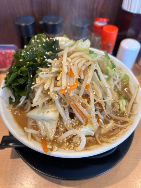 「野菜たっぷり味噌」@らーめん 源之丞の写真