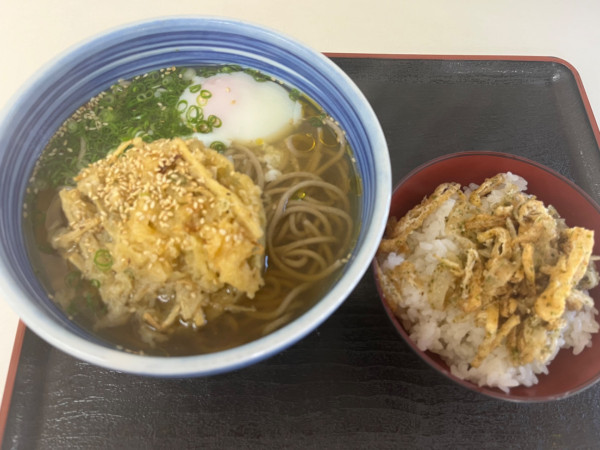「そば、半熟玉子、ごぼう天＋きざみごはんS」@白河そばの写真