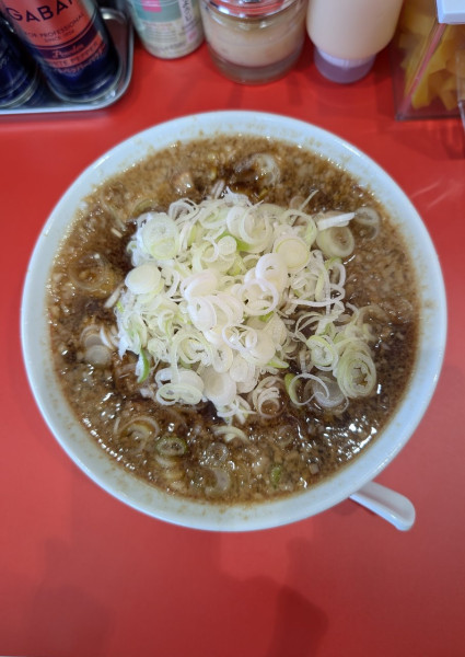 「背脂中華そば 並+ネギ」@ラーメン長瀬の写真