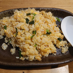 ハルコロの画像