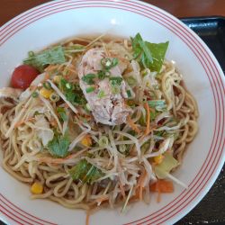 豚しゃぶ冷やしめん、麺増量