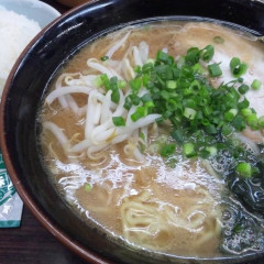 らーめん 康家の画像