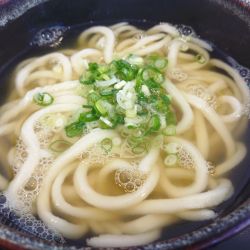 かけうどん