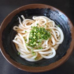 うどん1玉（温）250円