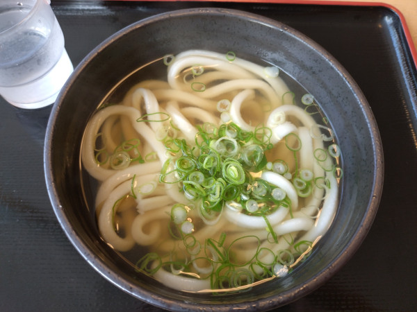 「かけうどん290」@まるやうどんの写真