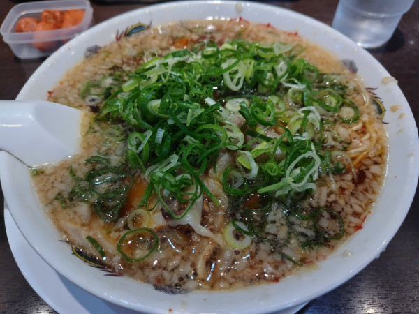 「ラーメン　：かため　※ネギ：多め＆チャーシュー：脂身」@来来亭 上田店の写真