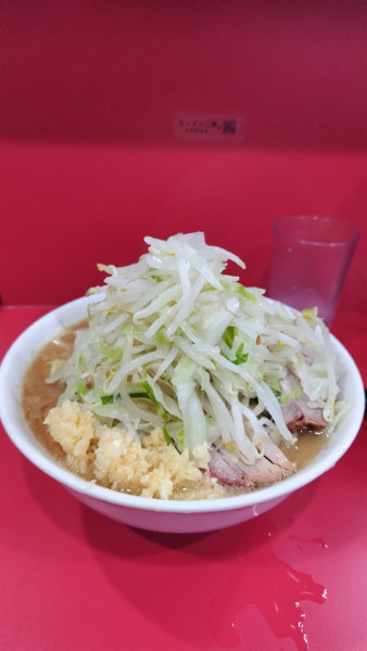 「令6·8·5ラーメン並(800円)ヤサイニンニクマシ」@ラーメン二郎 生田駅前店の写真