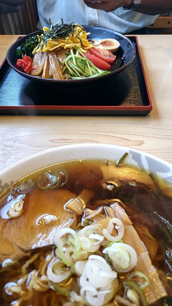 「生醤油、冷やし中華」@支那そば 晃やの写真