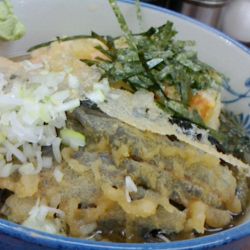 冷やしそば 370円＋ごぼう天 150円＋なす天 150円