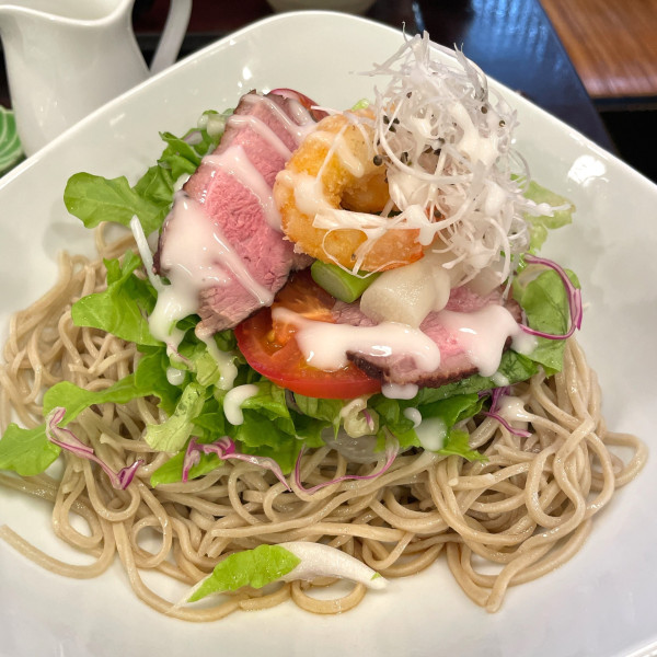 「涼味 さらだそば」@上野藪そばの写真