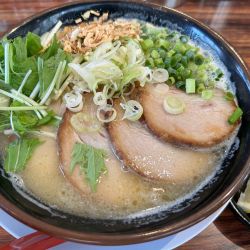 極み鶏・チャーシュー・太麺