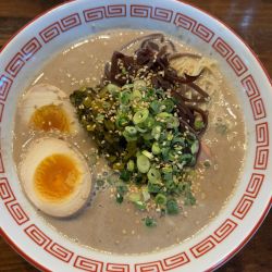 煮干し豚骨醤油らーめん味玉