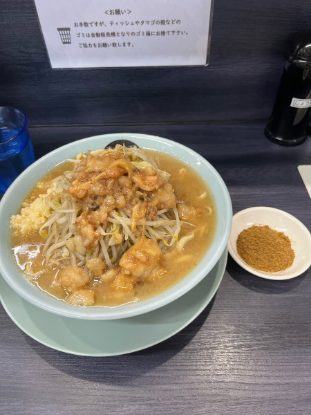 「ラーメン少なめ」@オリバーヌードルの写真