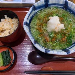 ねぎみぞれそば定食 1100円