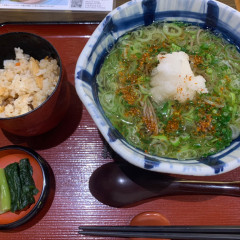信州そば処 そじ坊 那覇空港店の画像