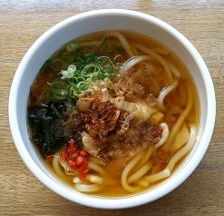 「鶏肉うどん」@薬膳カフェ Zeffee 大田市立病院店の写真