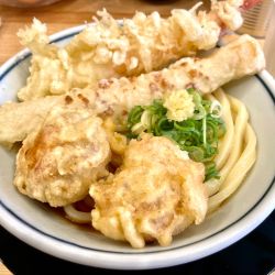 ☆自家製生うどん 頑陣天☆