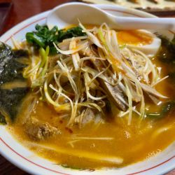 味噌ラーメン TPネギ